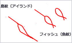 島紋 魚紋 違い